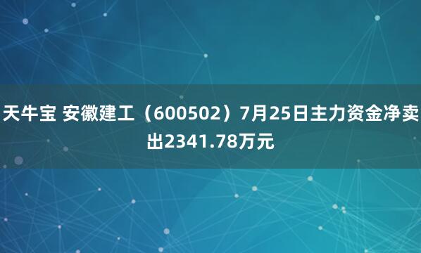 天牛宝 安徽建工（600502）7月25日主力资金净卖出2341.78万元
