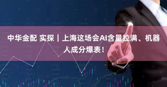 中华金配 实探｜上海这场会AI含量拉满、机器人成分爆表！