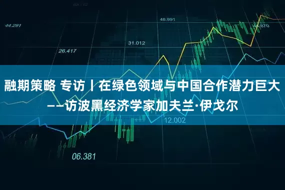 融期策略 专访丨在绿色领域与中国合作潜力巨大——访波黑经济学家加夫兰·伊戈尔